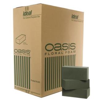 Foam Bricks Oasis Box 60